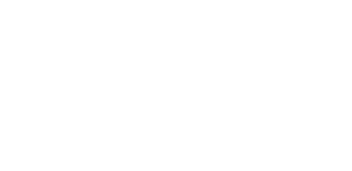 锐达 RUIDAY